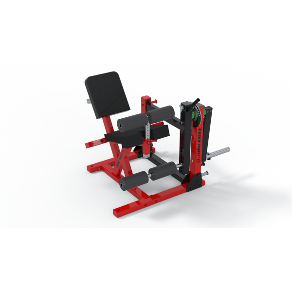 Leg Extension