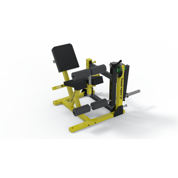 Leg Extension