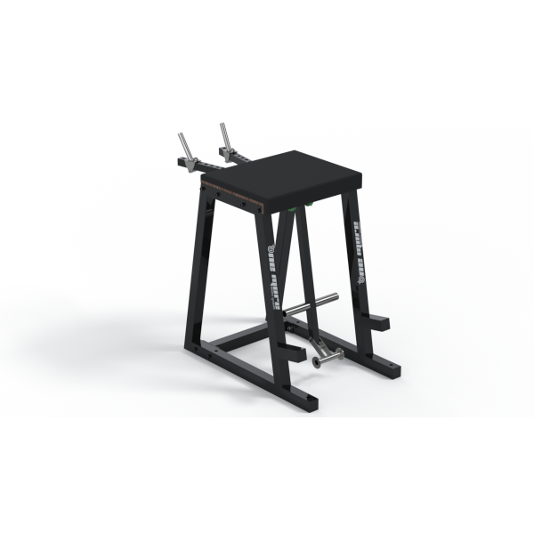 Reverse Hyper