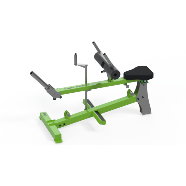 Seated Calf